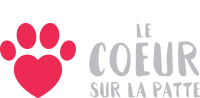 Logo du partenaire